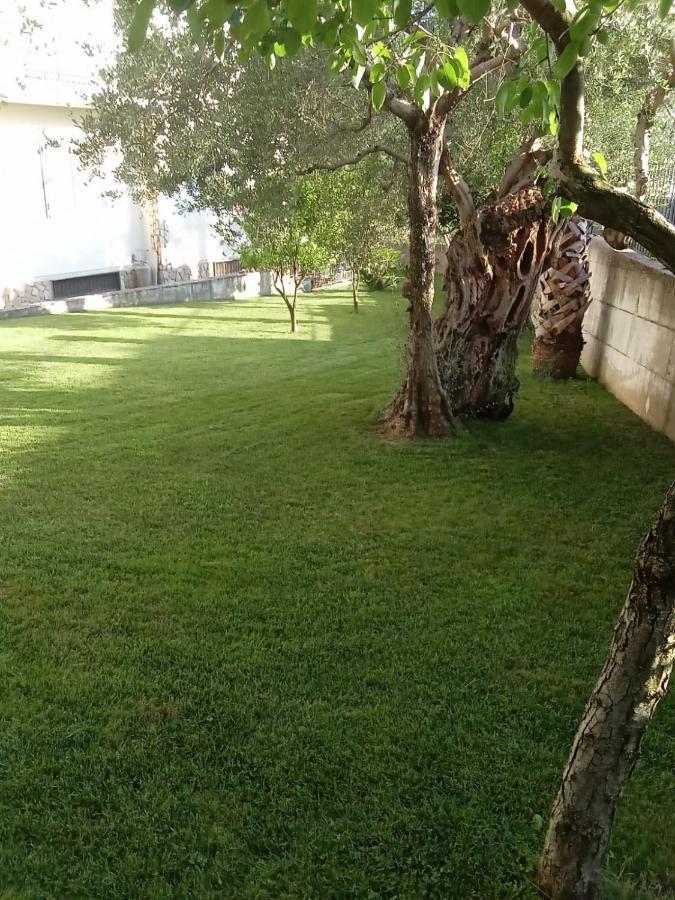Villa Agata Forchia エクステリア 写真