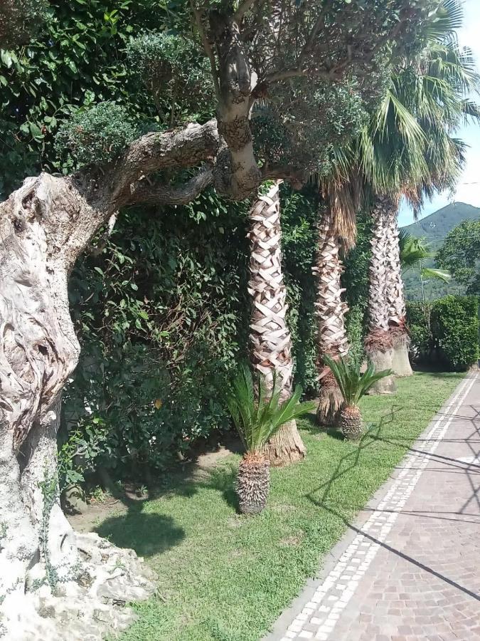 Villa Agata Forchia エクステリア 写真