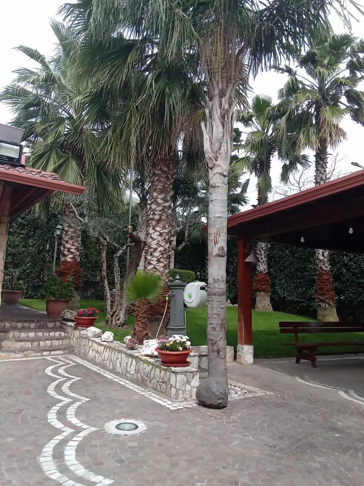 Villa Agata Forchia エクステリア 写真